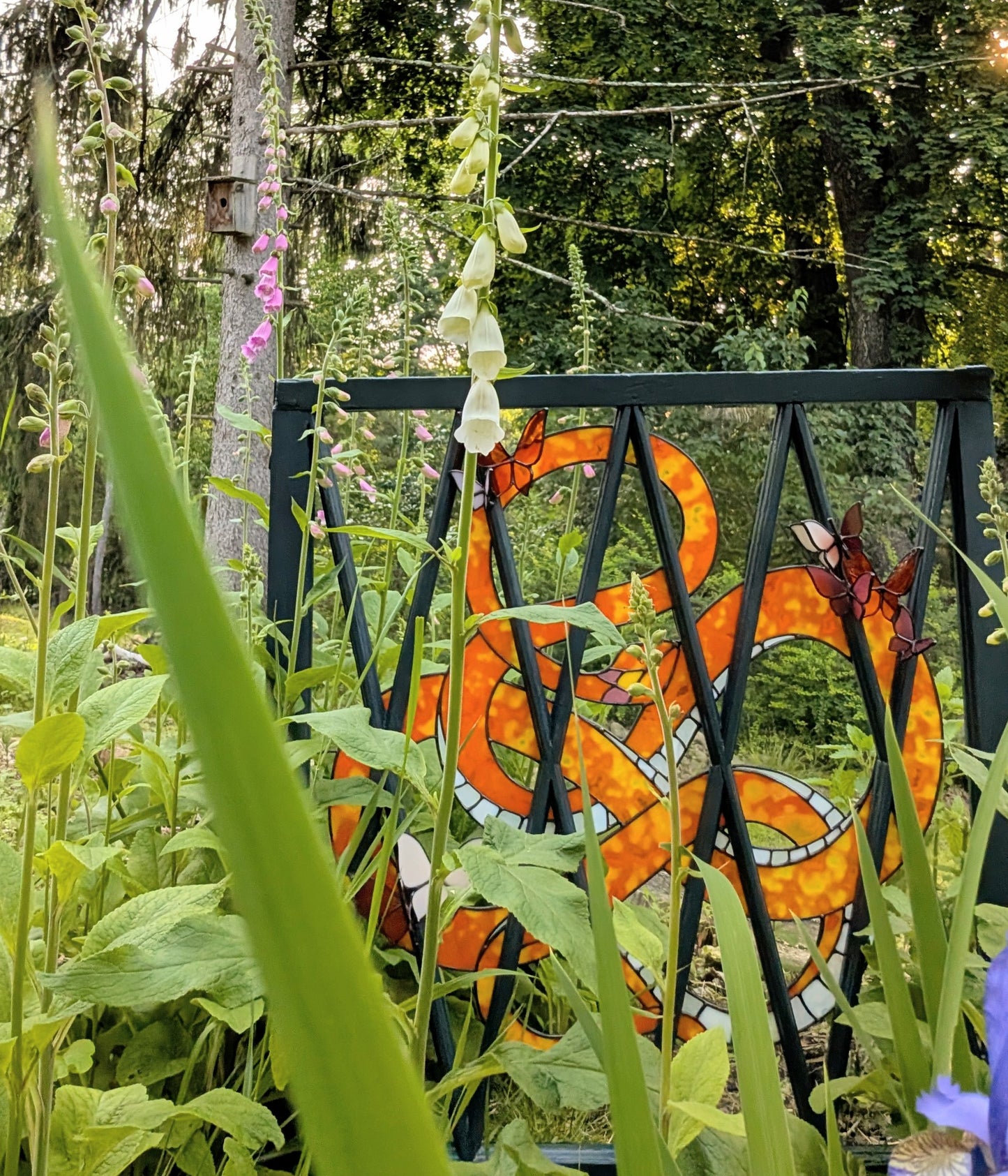 The Ribbon Snake Window