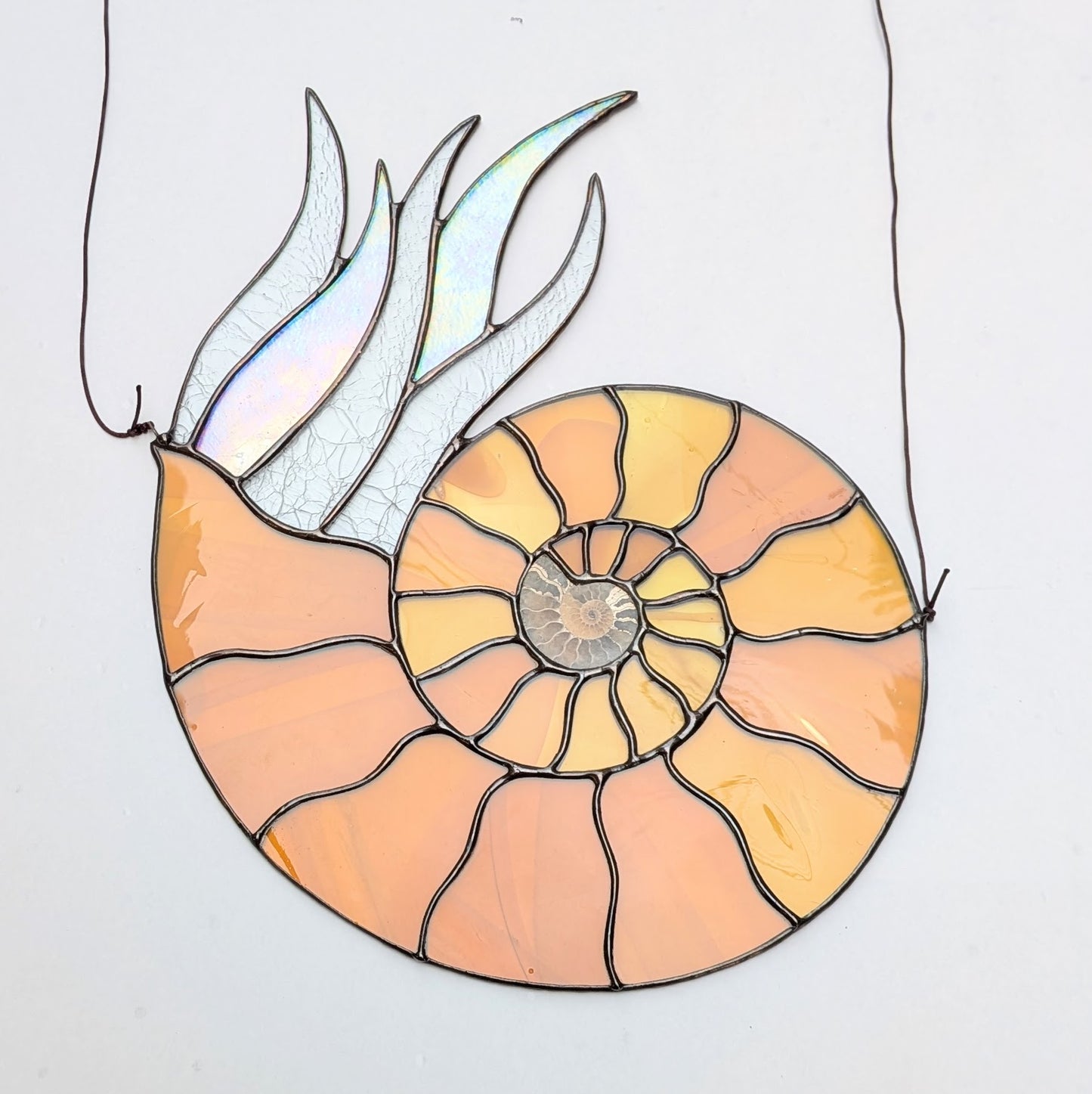 Ammonite Fossil Suncatcher Fremont