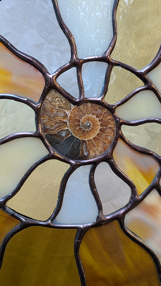 Ammonite Fossil Suncatcher