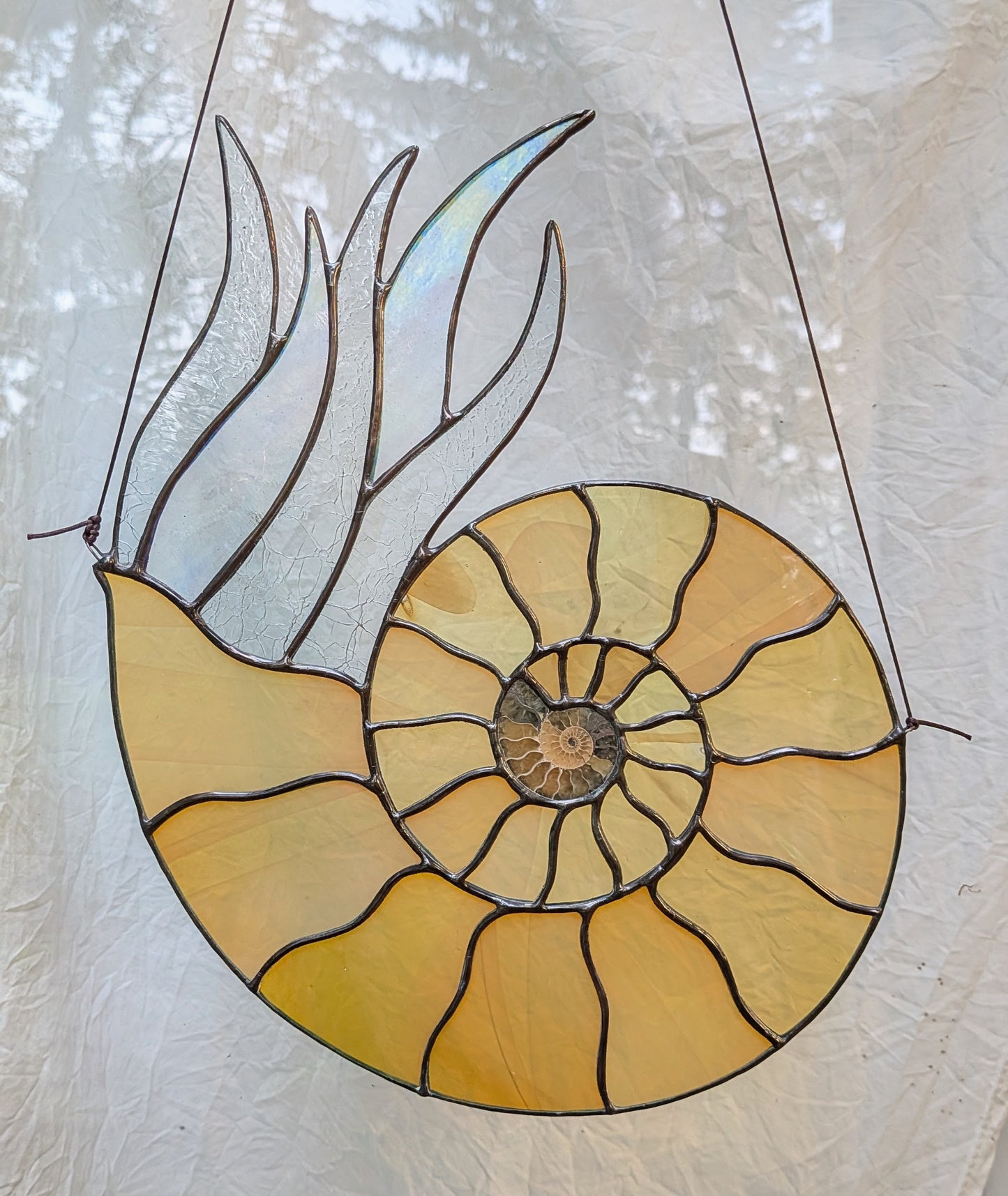 Ammonite Fossil Suncatcher Fremont