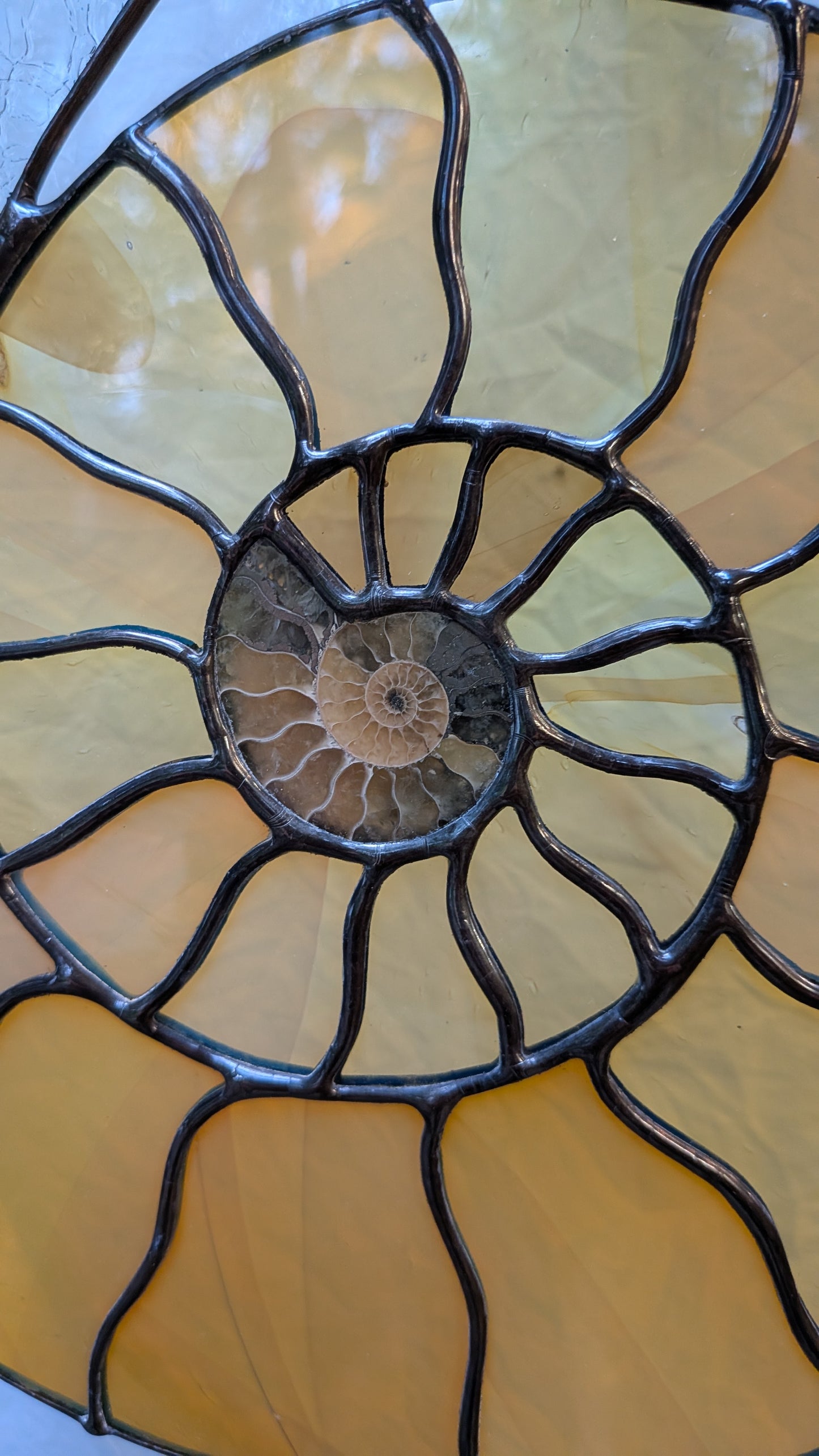 Ammonite Fossil Suncatcher Fremont