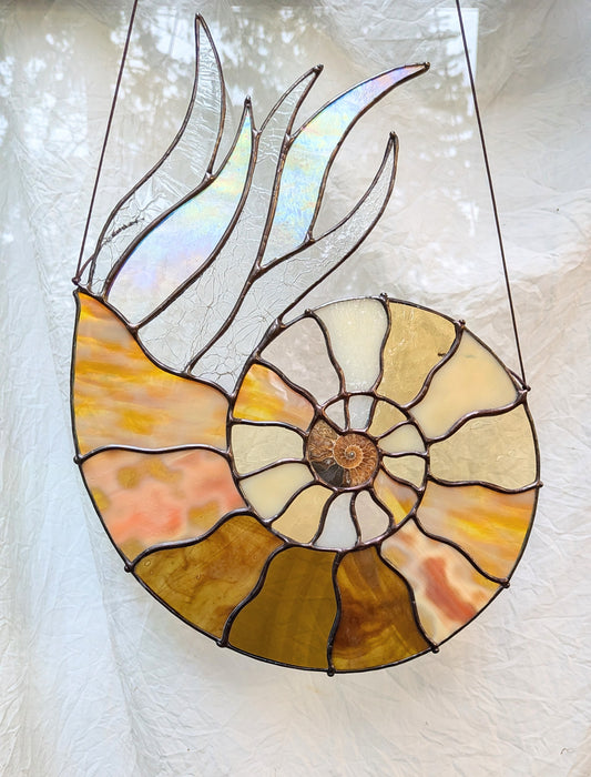 Ammonite Fossil Suncatcher