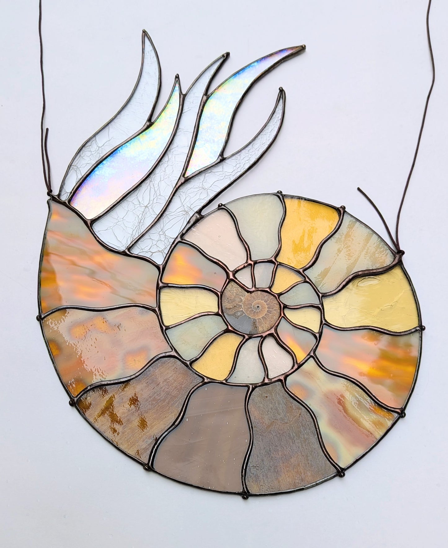 Ammonite Fossil Suncatcher