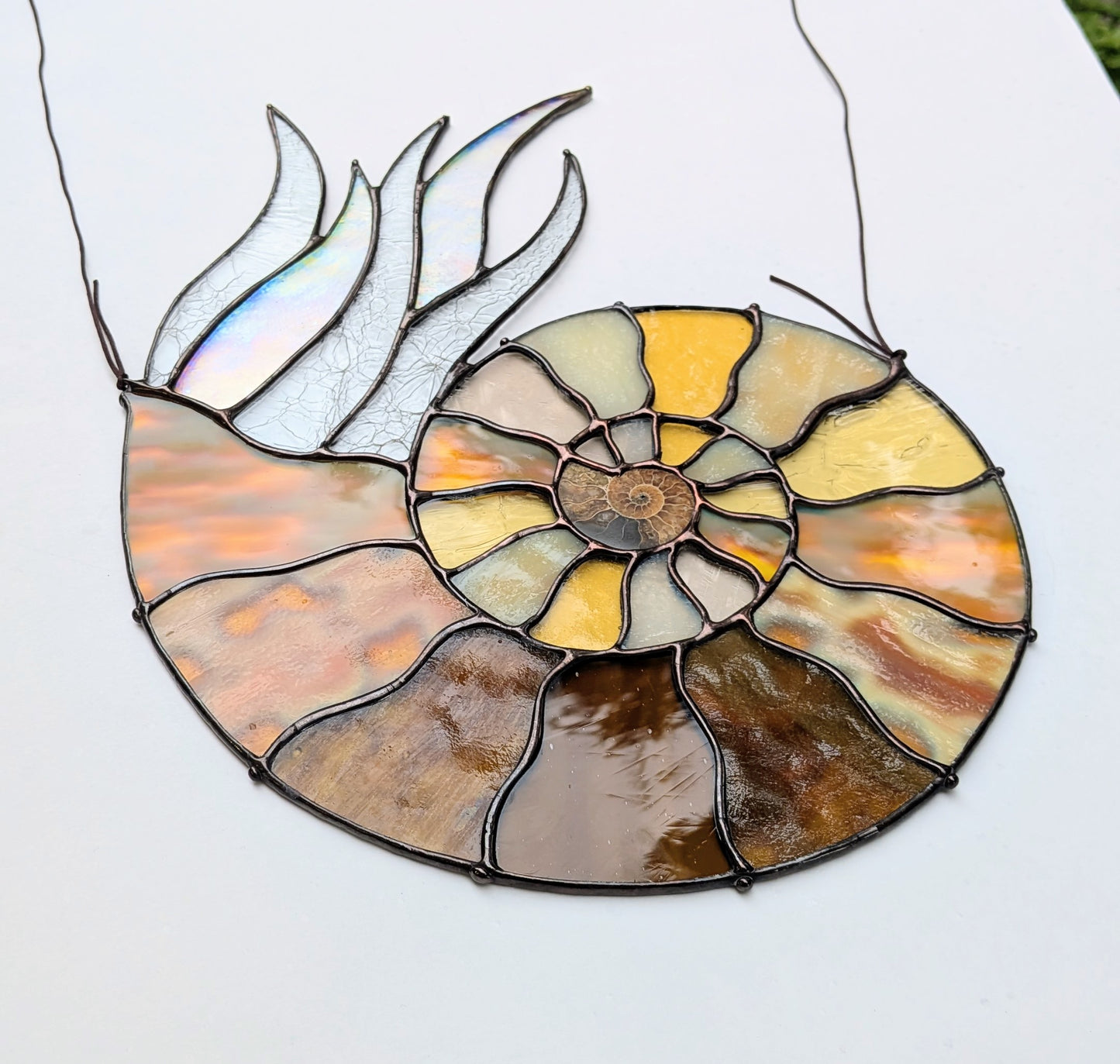 Ammonite Fossil Suncatcher