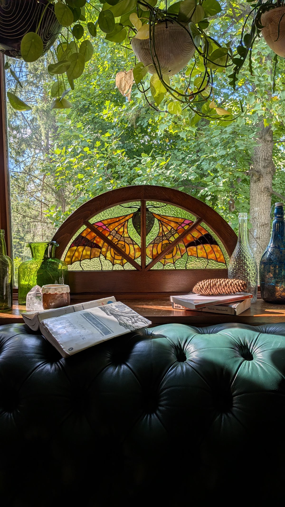 Demilune Window - Galle Moth