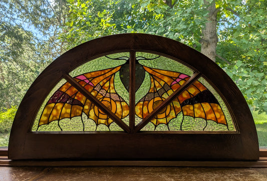 Demilune Window - Galle Moth