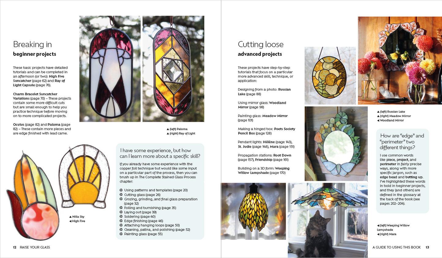 PREORDER - Raise Your Glass - Signed Copy - Ships April 21