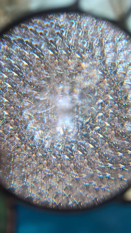 Sketches of the Sea - Prism